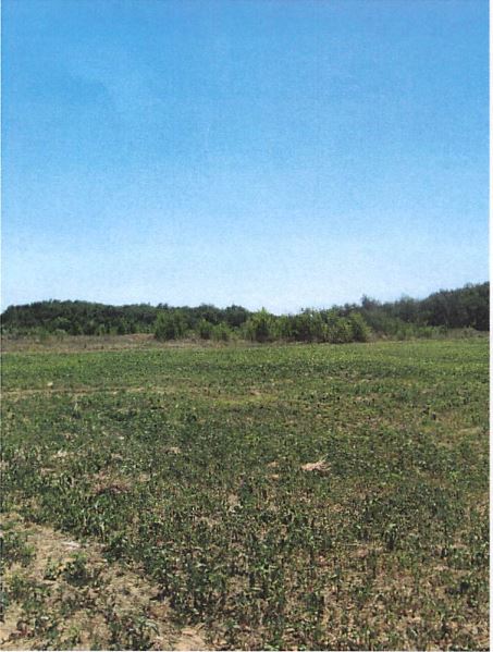 Parcelle de terre à usage agricole à CASTELMAUROU (31180)